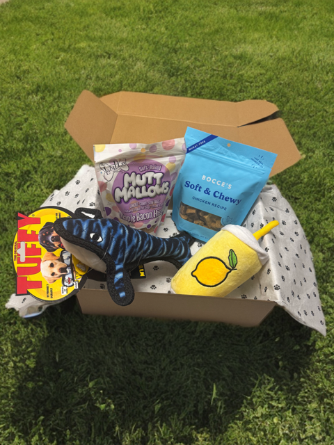 Mystery Pawty Box