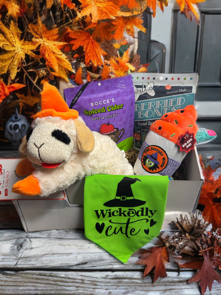Paw-loween Pawty Box