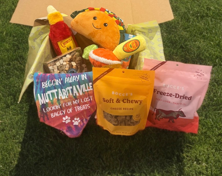 Mystery Pawty Box