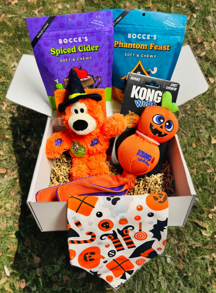 Paw-loween Pawty Box