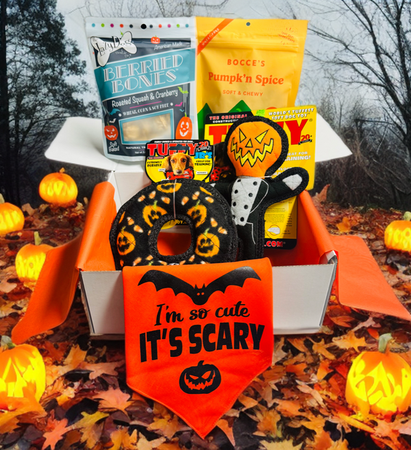 Paw-loween Pawty Box