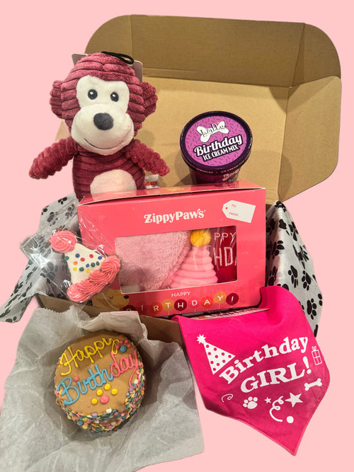 Birthday Bash Pawty Box