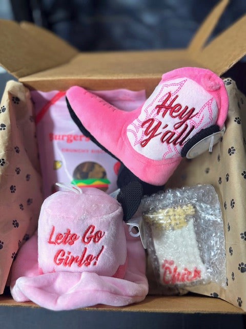 Mystery Pawty Box