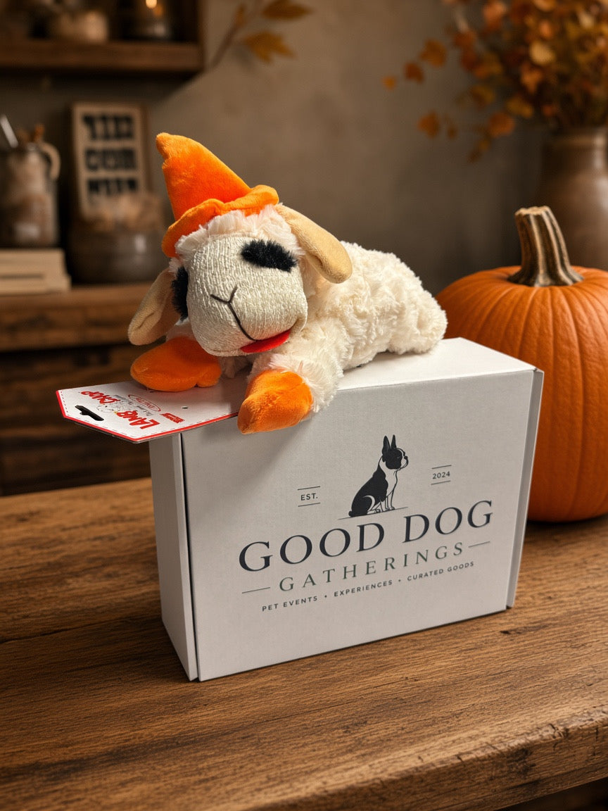 Paw-loween Pawty Box